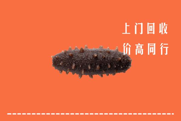 高价求购：南充市回收海参
