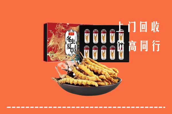 南充市回收虫草